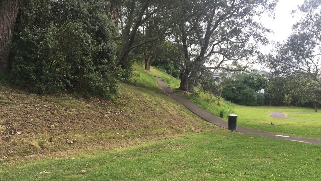 One of the slopes in the Grey Lynn Park no-mow pilot that was accidentally mown by a contractor.