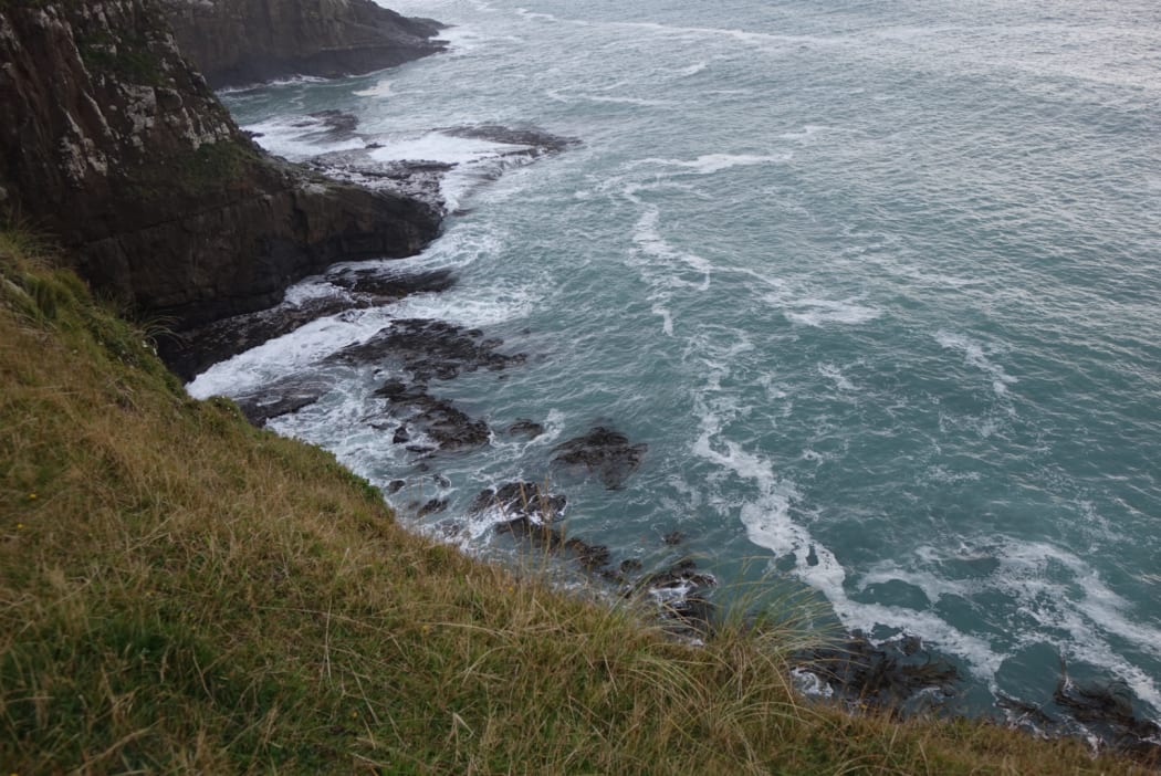 The cove near Curio Bay