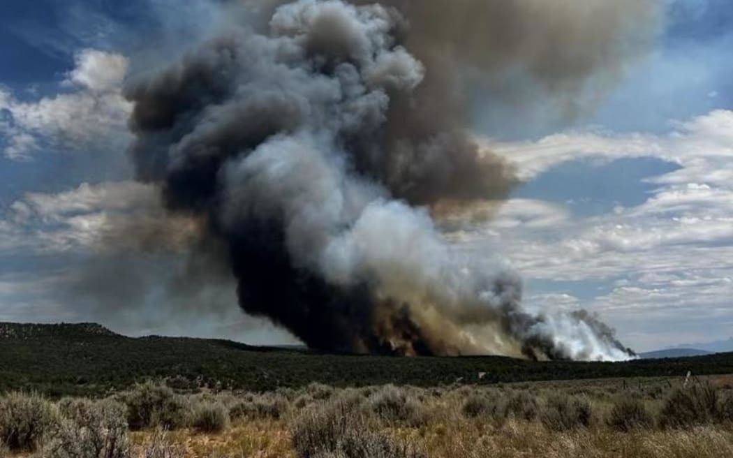 Bucktail fire in Colorado in August.