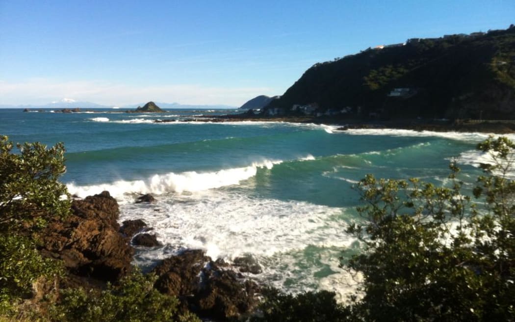 Houghton Bay, Wellington