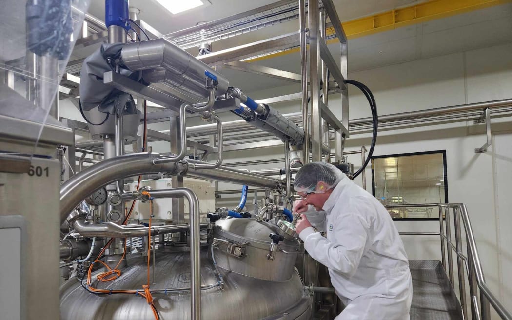 Fonterra Darfield plant manager Matt Smith checking the cream cheese.