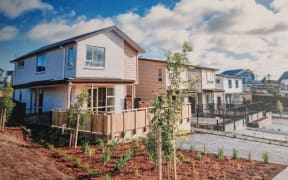 Examples of the homes Kāinga Ora is planning to build in New Plymouth.