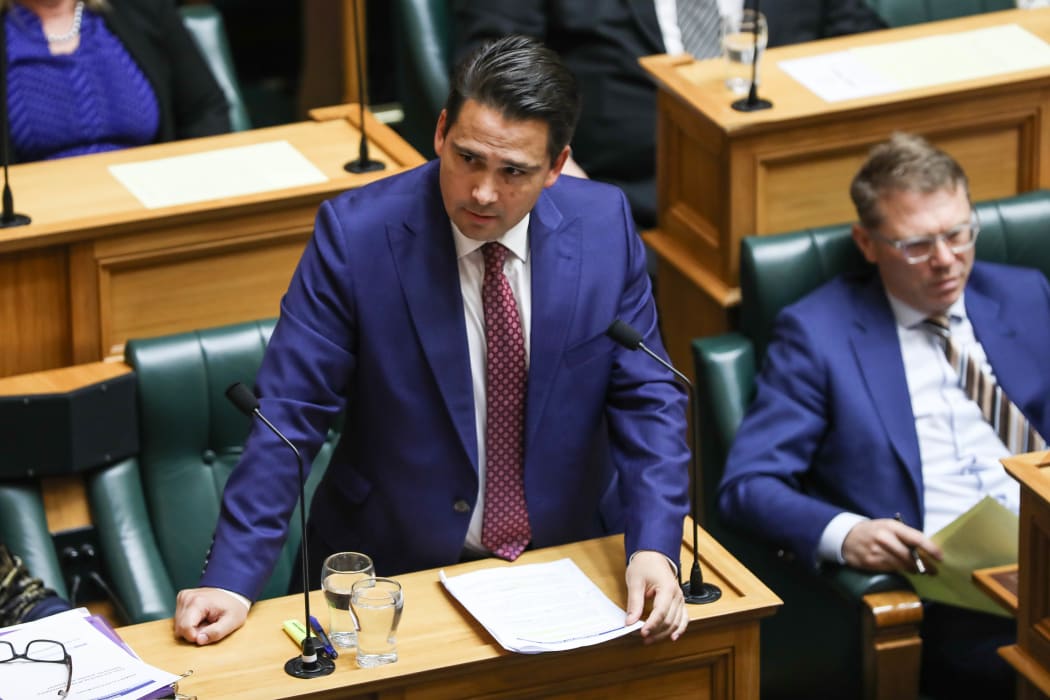 Leader of the National Party Simon Bridges