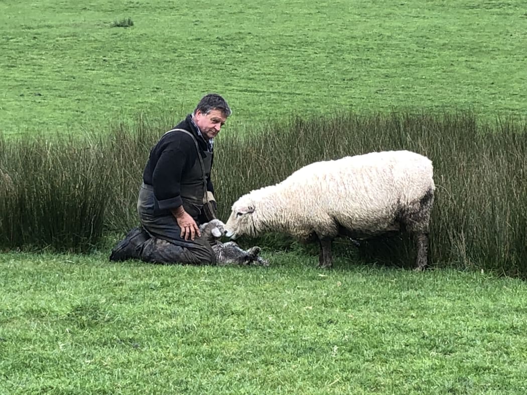 Roger Barton on his farm during lambing season.