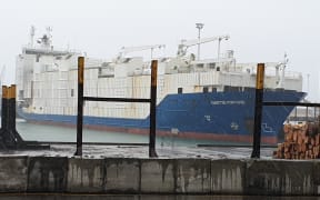 The Yangtze Fortune, used for live cattle export, docked at Napier Port on 9 November 2020.