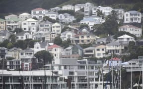 Wellington Rain; Housing;