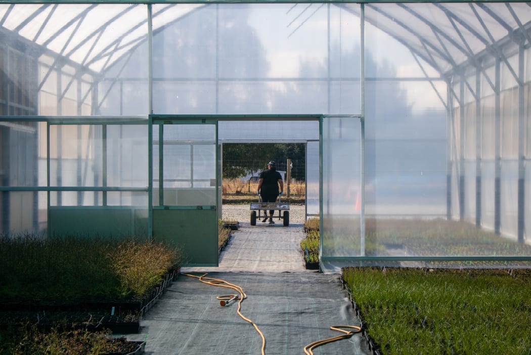 Joann outside the tunnelhouse at Arowhenua Native Nursery