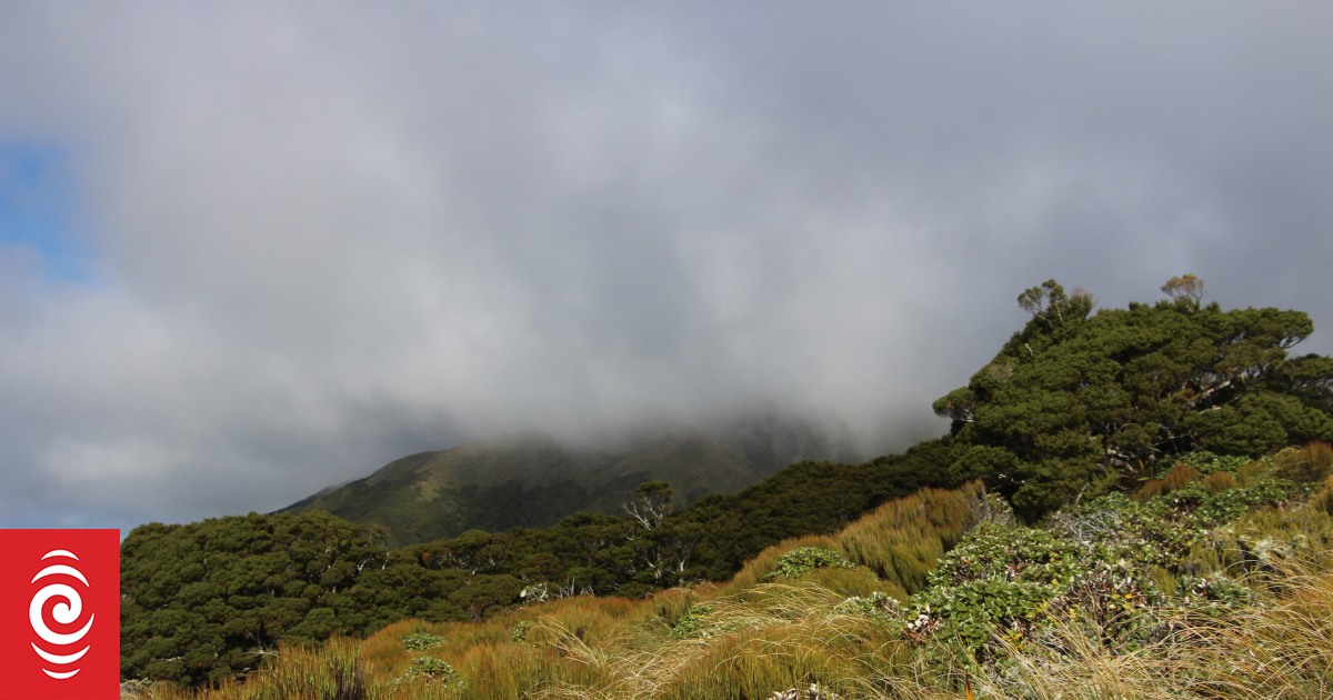 Runners rescued after getting lost in Tararua Forest Park - Vimarsana News