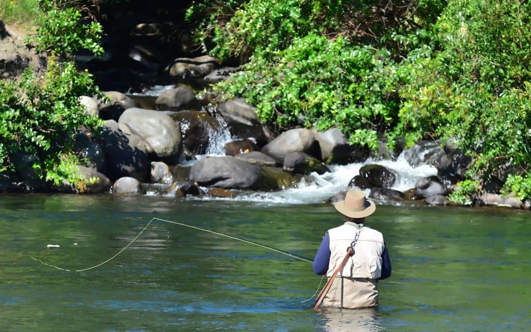 Person fly fishes for Trout in Tongariro river near Taupo lake, New Zealand.