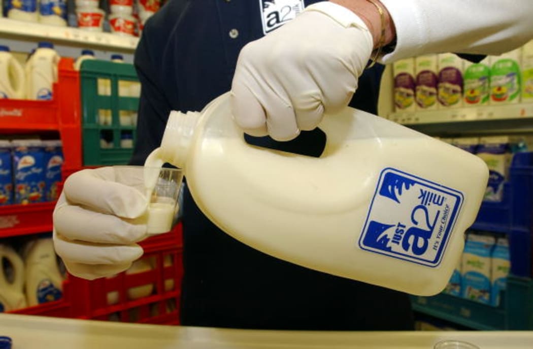 AUCKLAND, NEW ZEALAND - APRIL 29:  The new milk product known as A2 the "original milk" containing the deta casein A1 which has been strongly linked to heart disease and Type 1 diadetes amongst other illnesses.