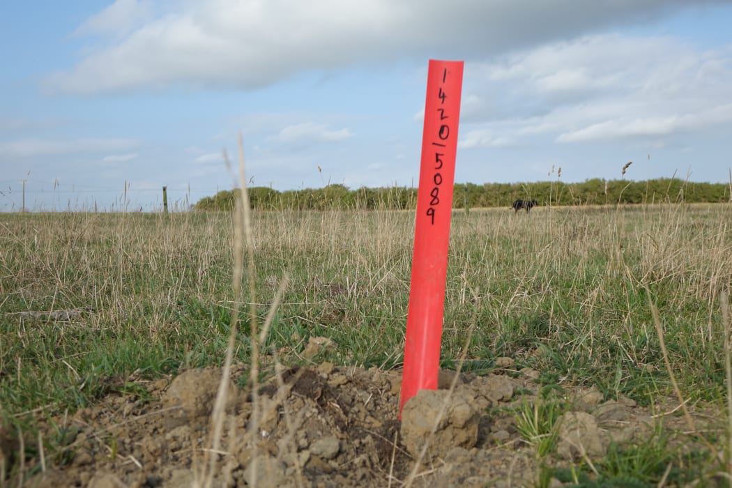 The seismic charges contain up to 2kg of explosives which are set 19m underground.