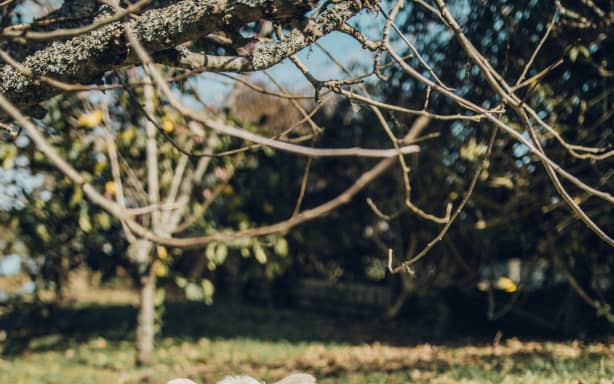 When does spring actually start? And what can we expect this season? | RNZ