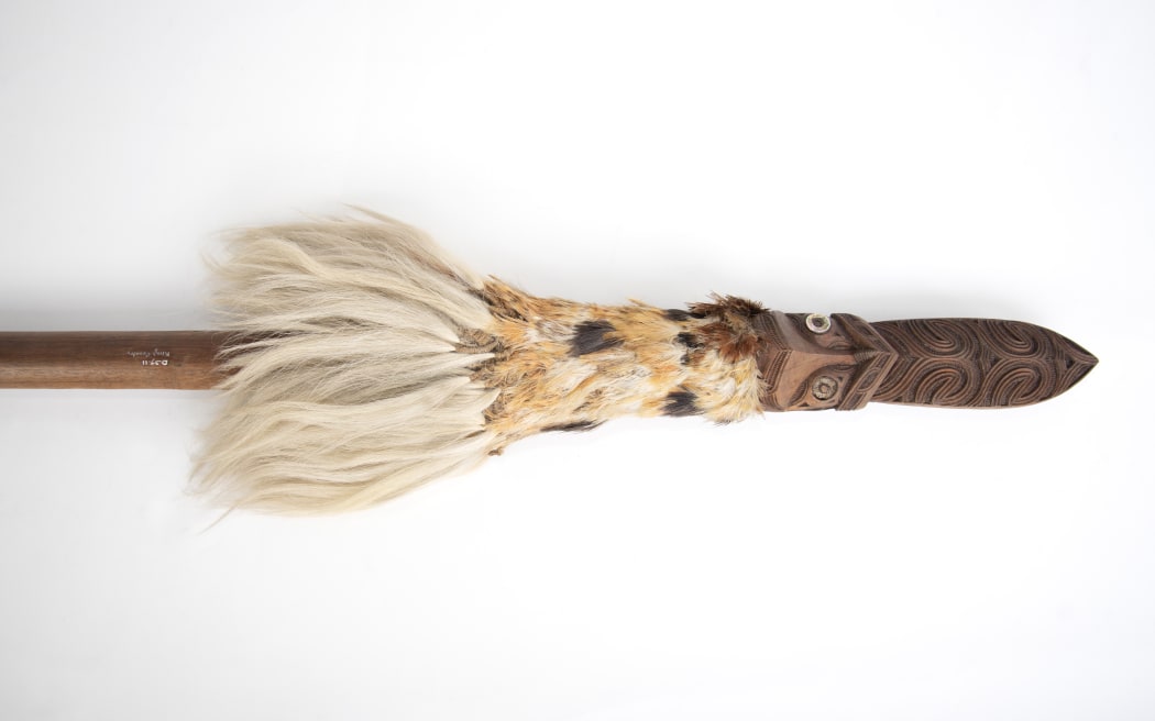 The taiaha named 'Maungārongo' held in Tūhura Otago Museum has been returned to Ngāti Maniapoto.