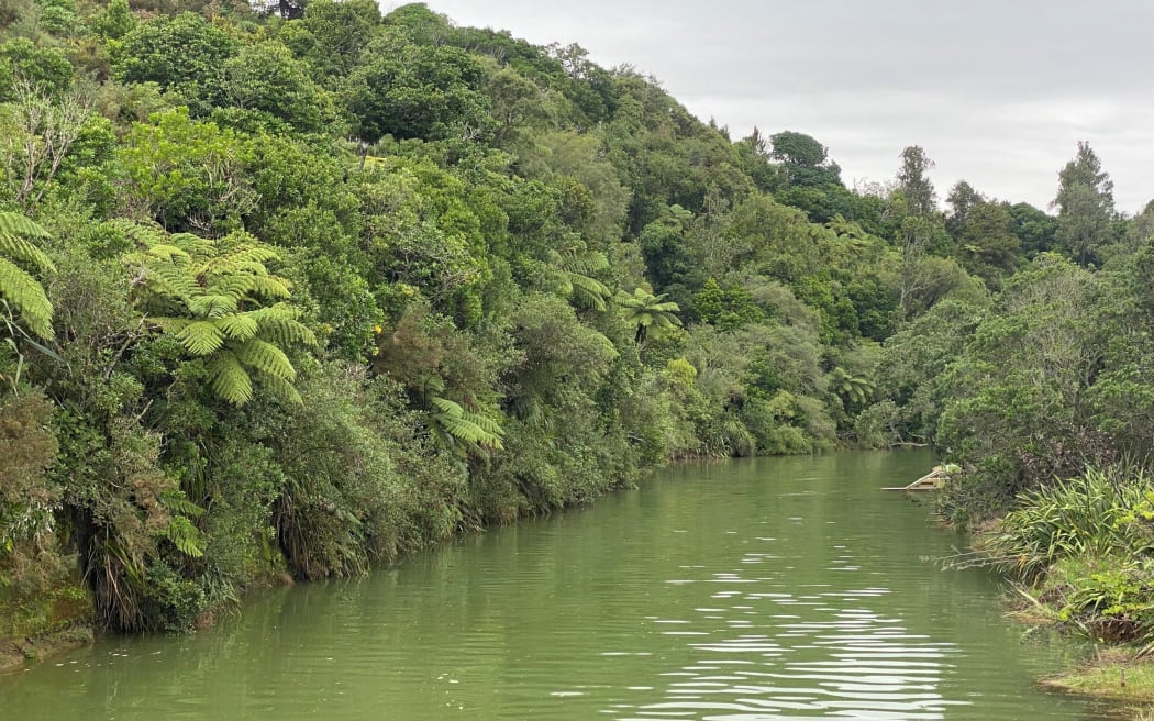 Onaero River in Taranaki