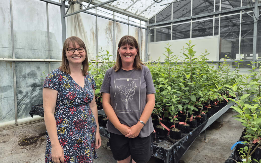 From left: Anna Tattersall from Plant & Food research's post-harvest lab along with Natalie Proffitt, the pipfruit breeding programme operations manager.