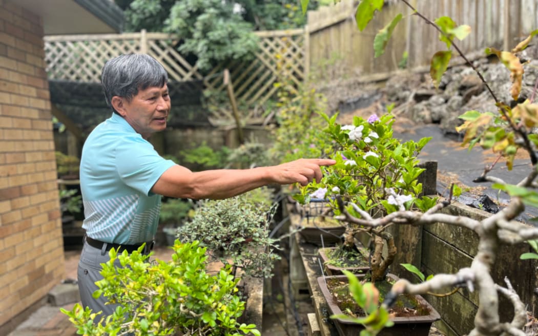 Huosheng Lin, a Taiwanese Bonsai practitioner based in Auckland, has around 400 Bonsai and Penjing in his garden. He describes Bonsai as a living artwork that is always changing and developing.