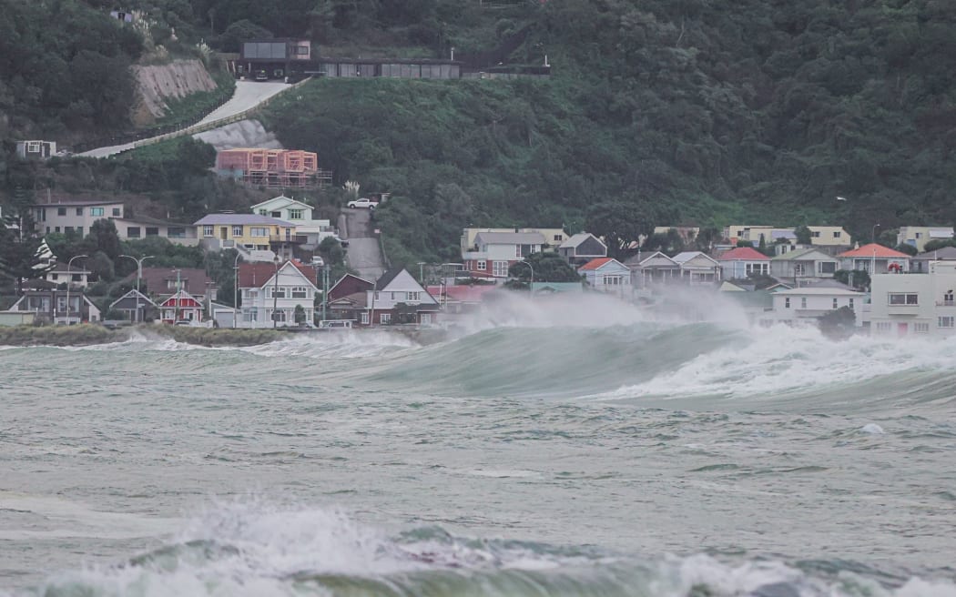 Wellington weather