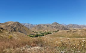 Awatere Valley, Marlborough