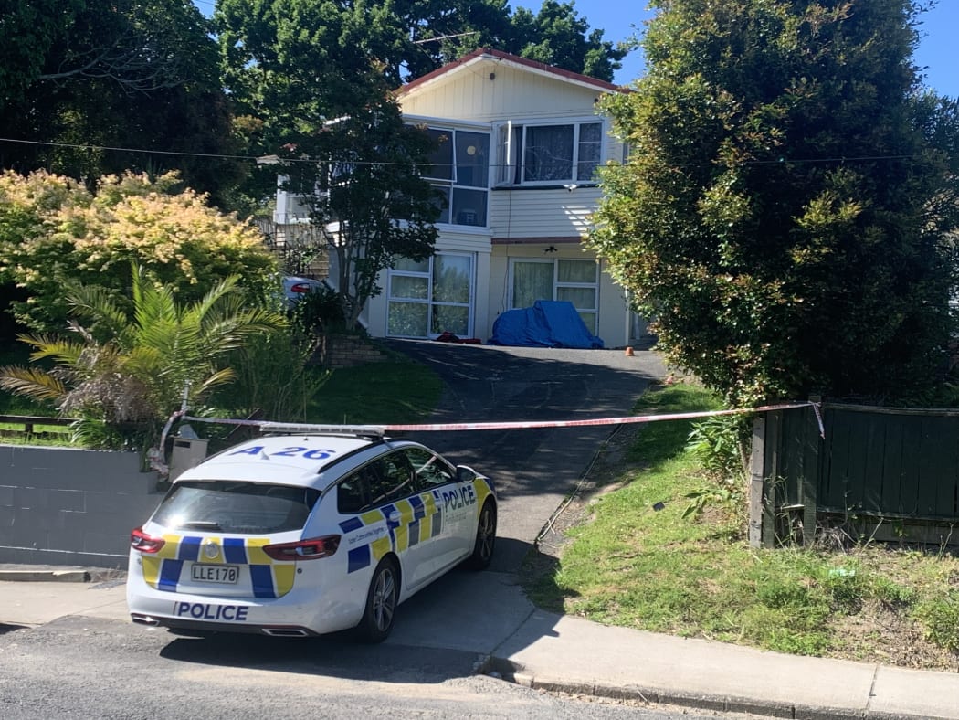 Police say a person was shot in Dundale Ave, Blockhouse Bay at about 7.15pm last night.