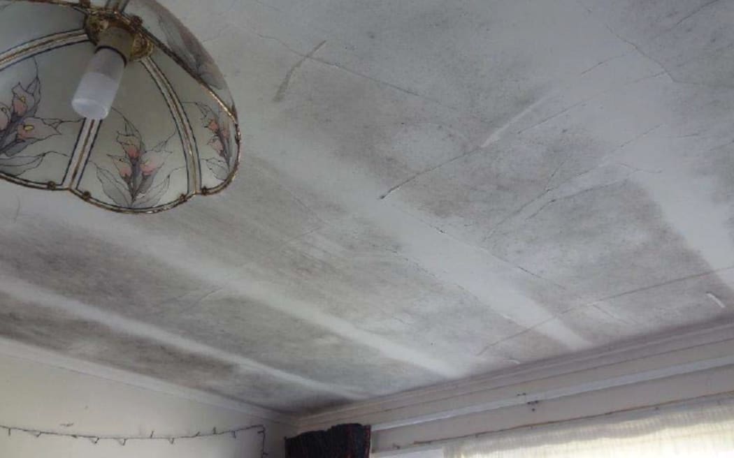 Mould on the ceiling, at the Porirua rental house.