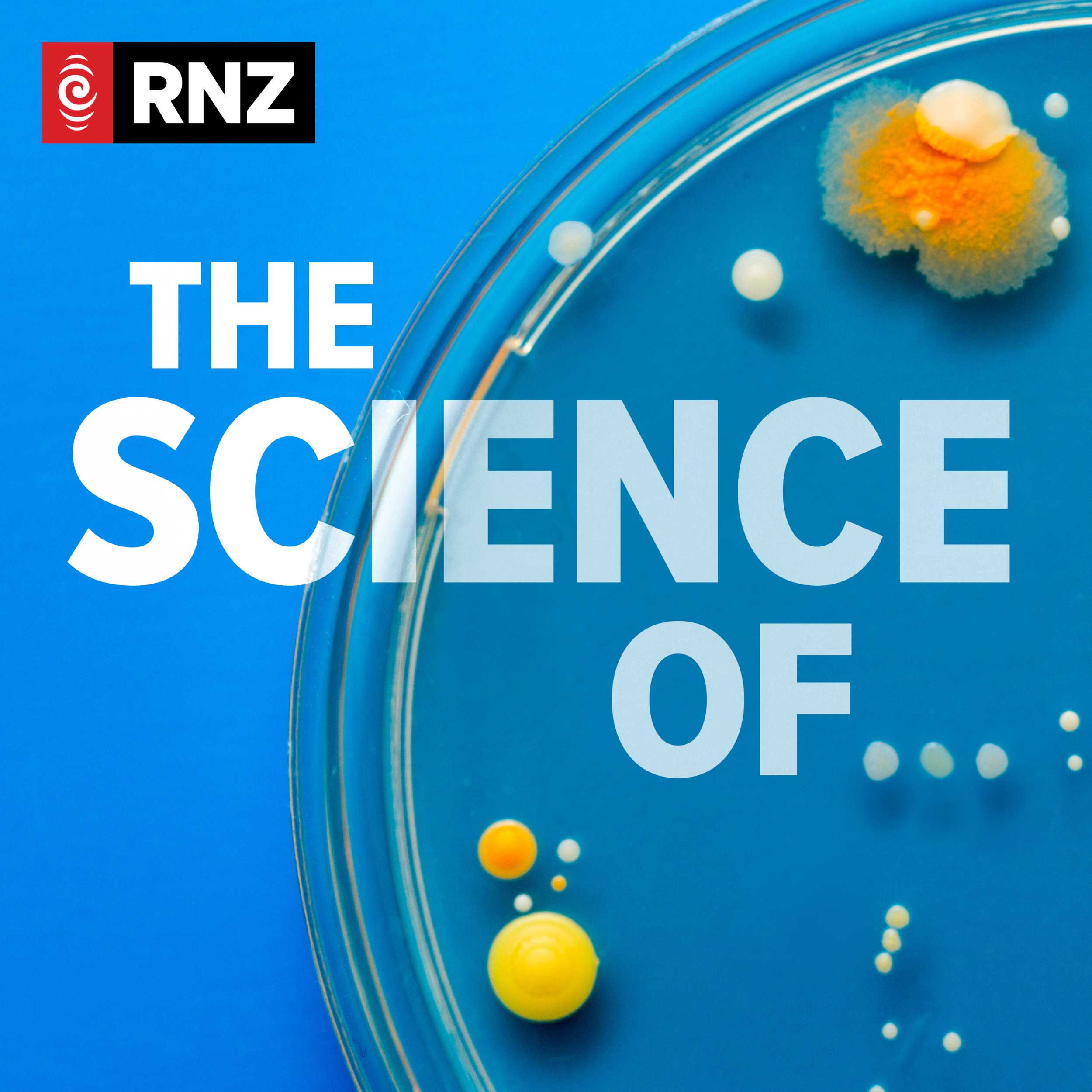 The Science Of…