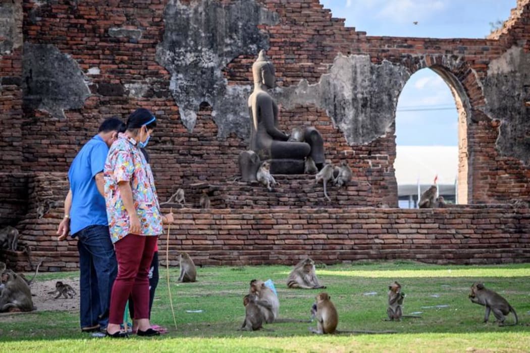 Tourists interact with longtail macaques in the Prang Sam Yod Buddhist temple in the town of Lopburi.