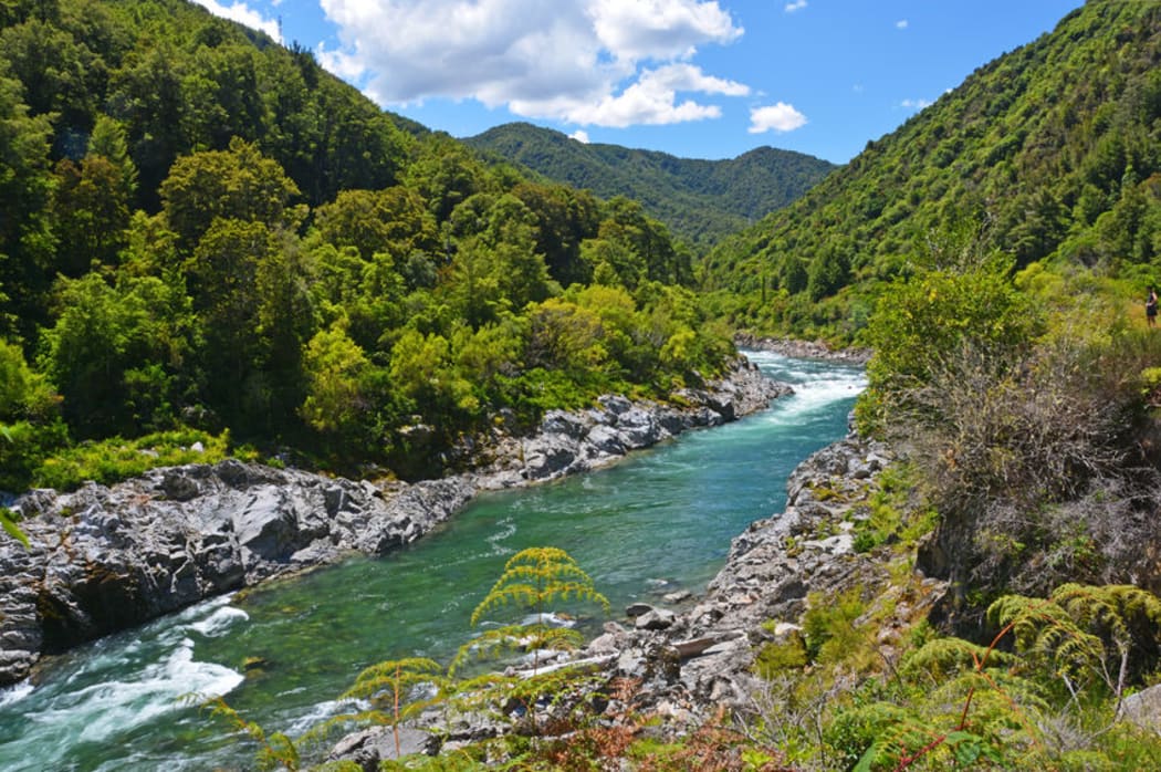 The Buller Gorge.