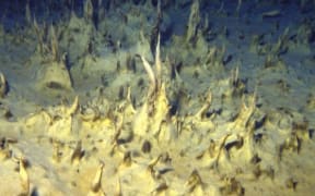 Microbial pinnacles found in Lake Vanda, in the McMurdo Dry Valleys, Antarctica