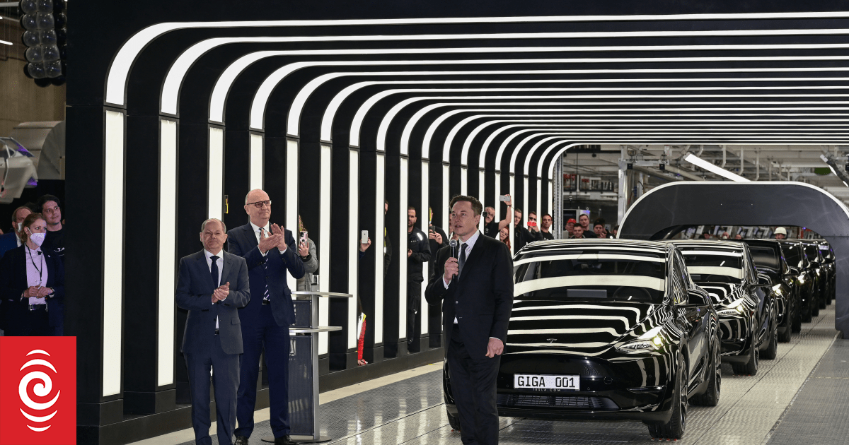 Plummeting Tesla sales nothing to do with Musk, says consumer expert