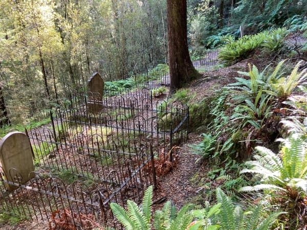 The abandoned cemetery at Lyell near Murchison.