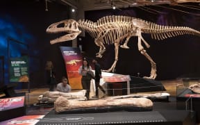 Visitors walk in front of a large dinosaur skeleton that looks a bit like a T. rex. In the foreground lie huge femur bones longer than a person.