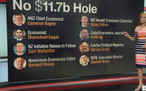 Newshub's Samantha Hayes showing viowers the expert opinion arrayed against Steven Joyce.
