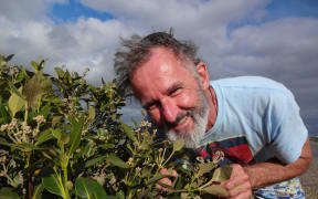 Kennedy Warne on Motu Manawa, the island of mangroves