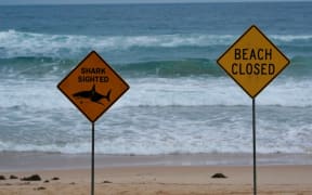 Shark nets have been in place at Australian beaches for almost a century.