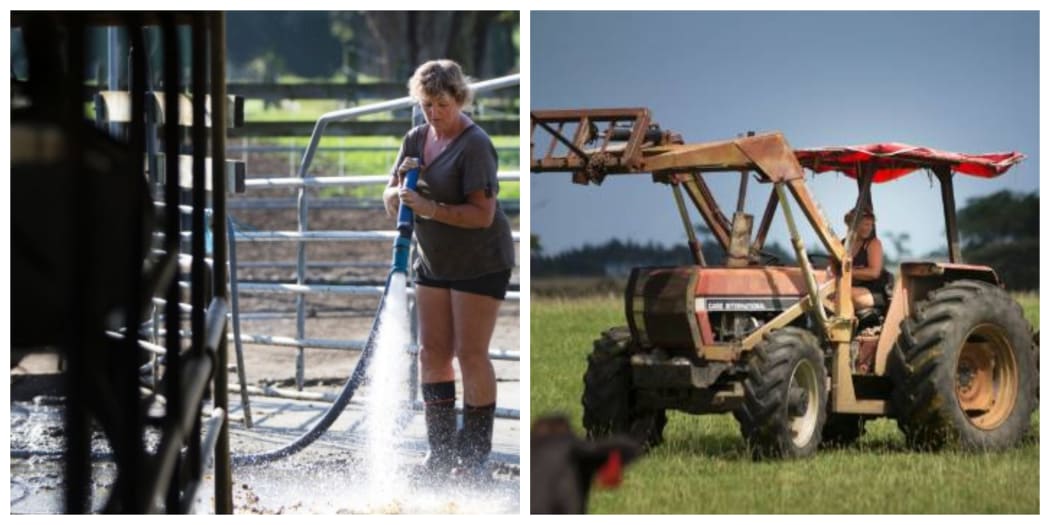 Lyn Webster on the farm