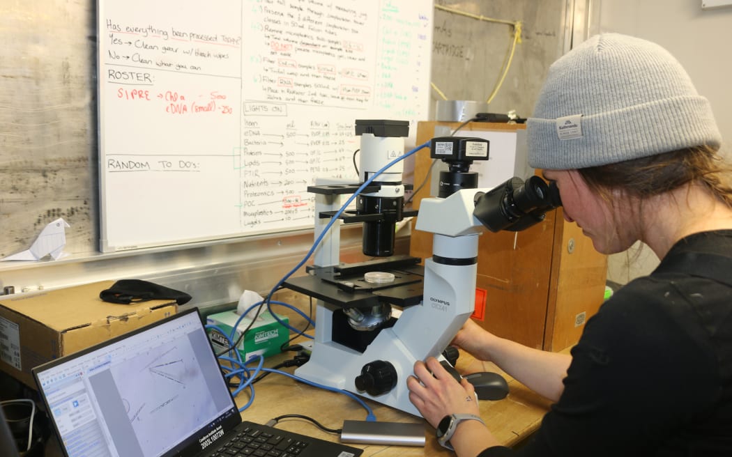 A woman wearing a beanie over her brown hair sits at a bench in front of a laptop and a microscope, with a whiteboard on the wall covered with writing. She is looking down the microscope.
