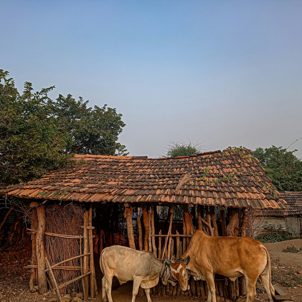 “When they visit my house I tell them stories about our family and our way of life in India. They’ve been to our village so they’ve seen some things … but I don’t know how much they fully understand."