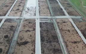 New Zealand's largest feedlot in Ashburton.