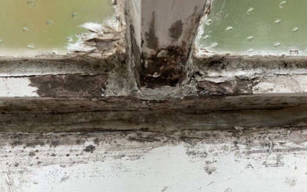 Decaying window sills and frames were found at the Porirua rental house.