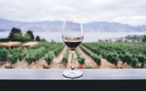 Wine glass on railing, wine, grapes, vines, stock image, generic