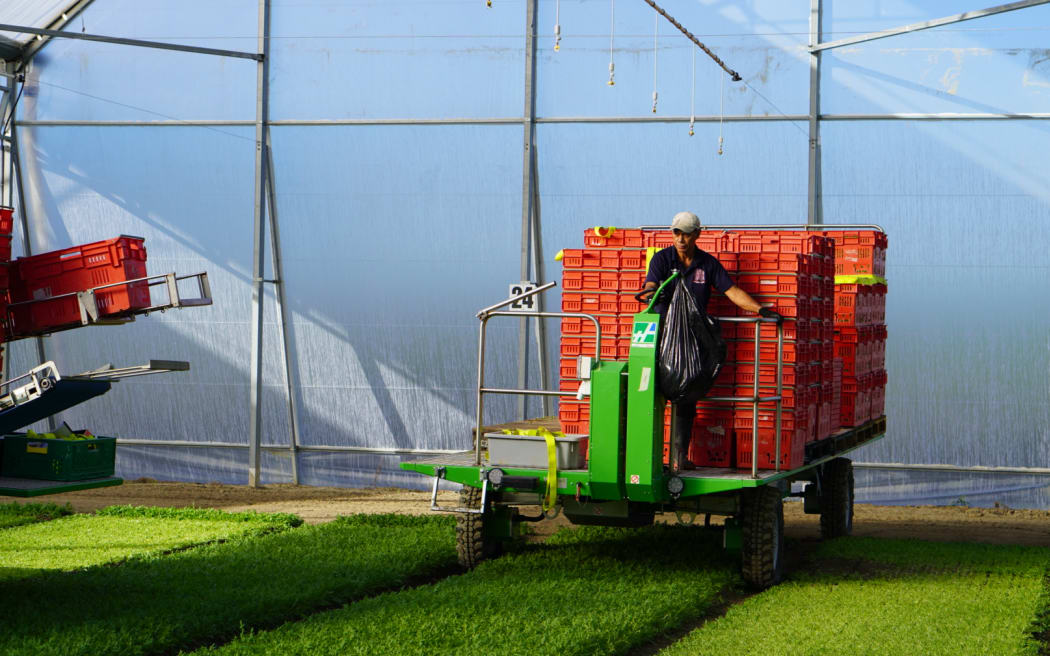 One of two new electric trailers which move along beside the harvester to carry the produce.