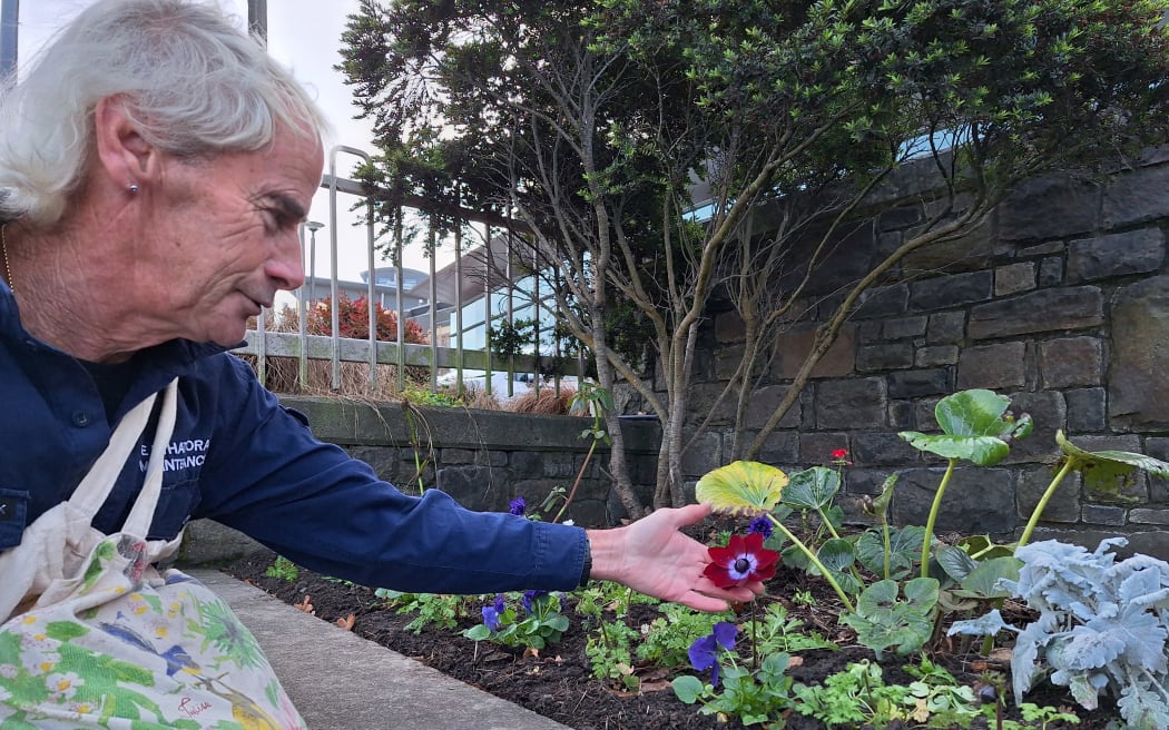 Michael Marquet single-handedly maintains the gardens on the grounds of Christchurch Hospital.
