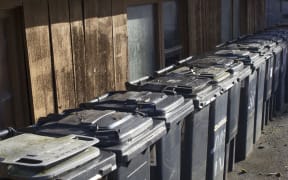 Generic rubbish bins in line