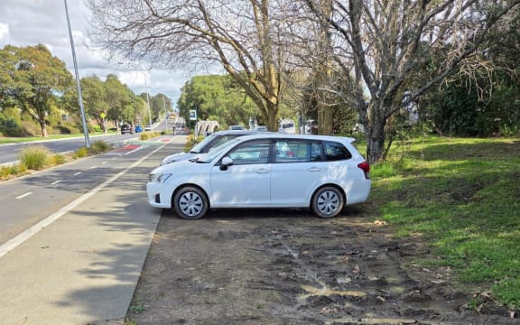 Cars parked on Meola Road