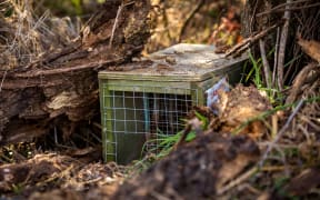 Canterbury pest control trap