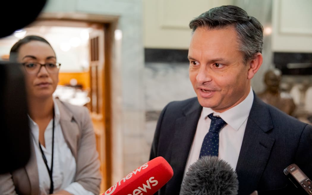 Green Party co-leader James Shaw