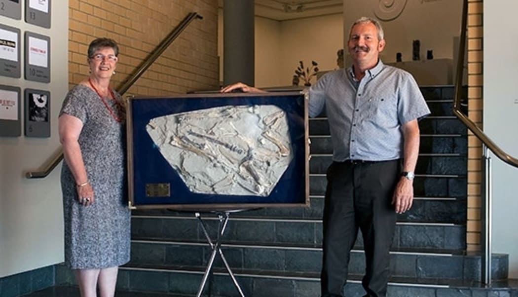 Friends of Waikato Museum President Alison Gibb and Hamilton Junior Naturalist Club President Mike Safey with the giant penguin fossil replica.