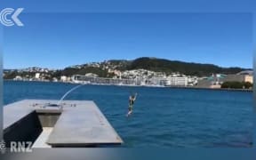 Iconic Wellington $1 million sculpture snapped by swimmer