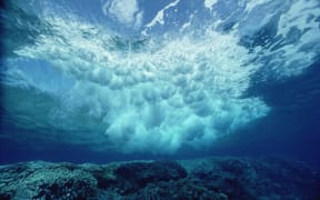 Breaking wave, Solomon Islands.