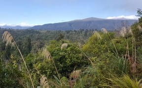 A large scenic reserve extending from west of Waimarino south to Horopito has been named Ngātokoerua Scenic Reserve.